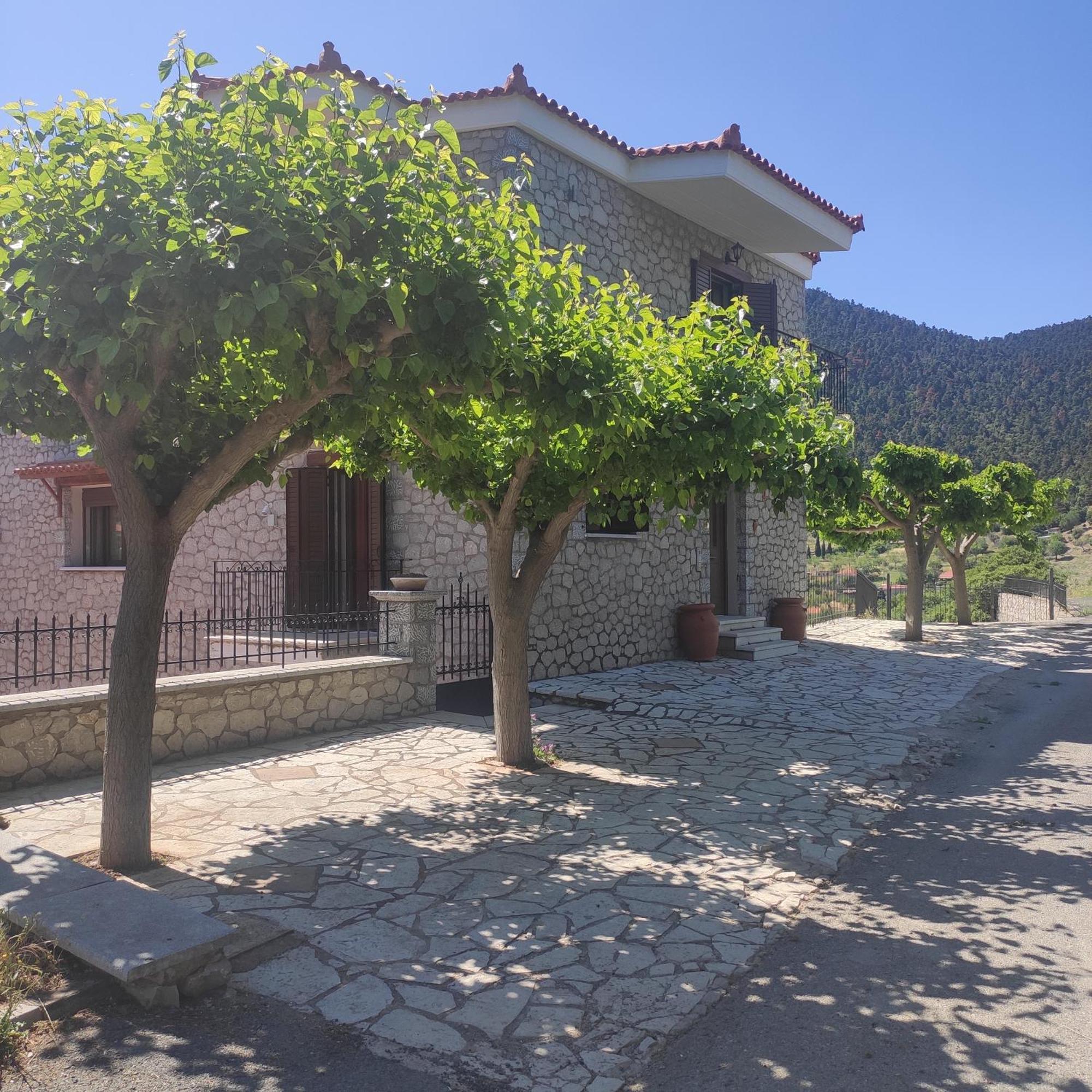 Το Πέτρινο Apartment Kyriaki Bagian luar foto