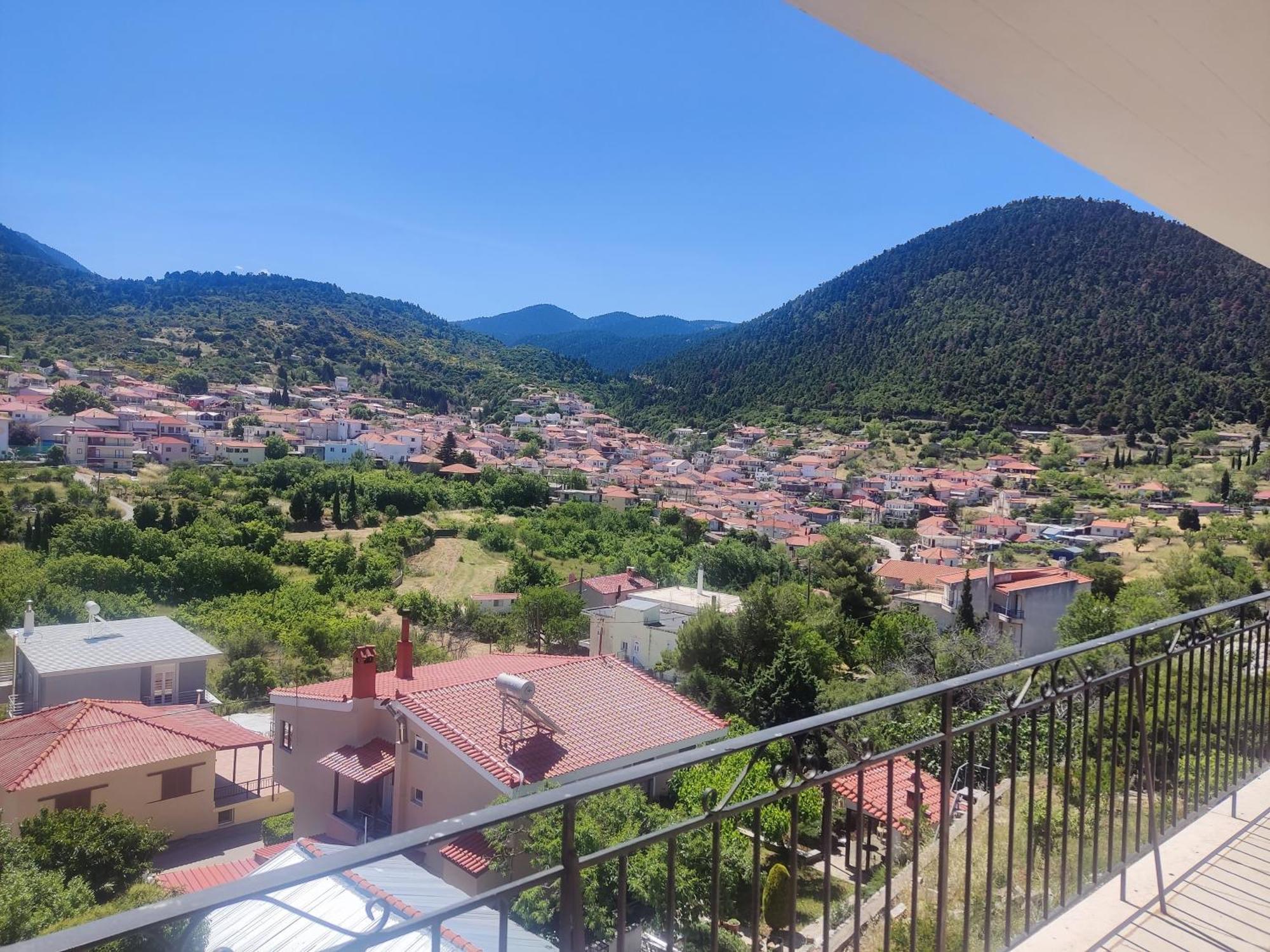 Το Πέτρινο Apartment Kyriaki Bagian luar foto