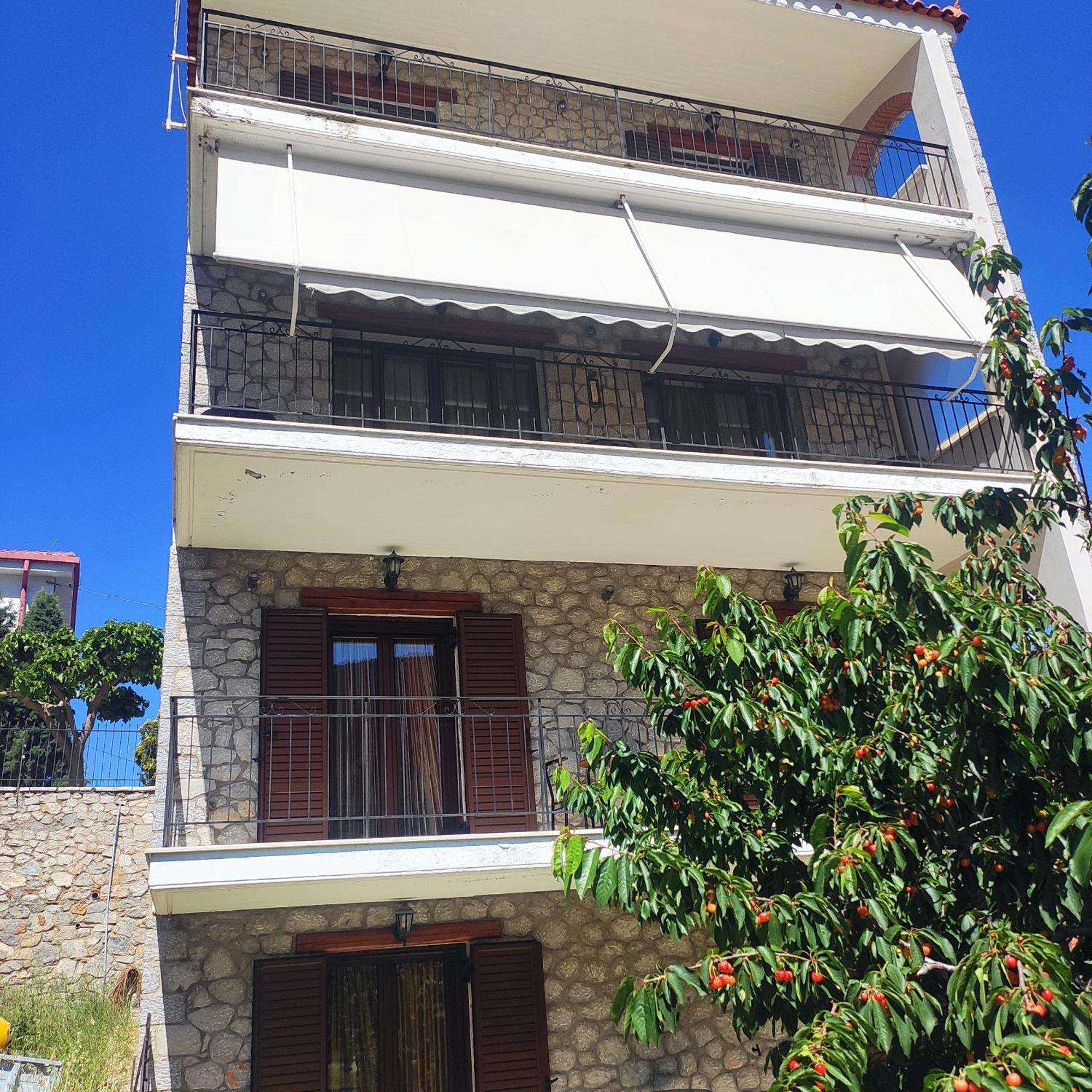 Το Πέτρινο Apartment Kyriaki Bagian luar foto