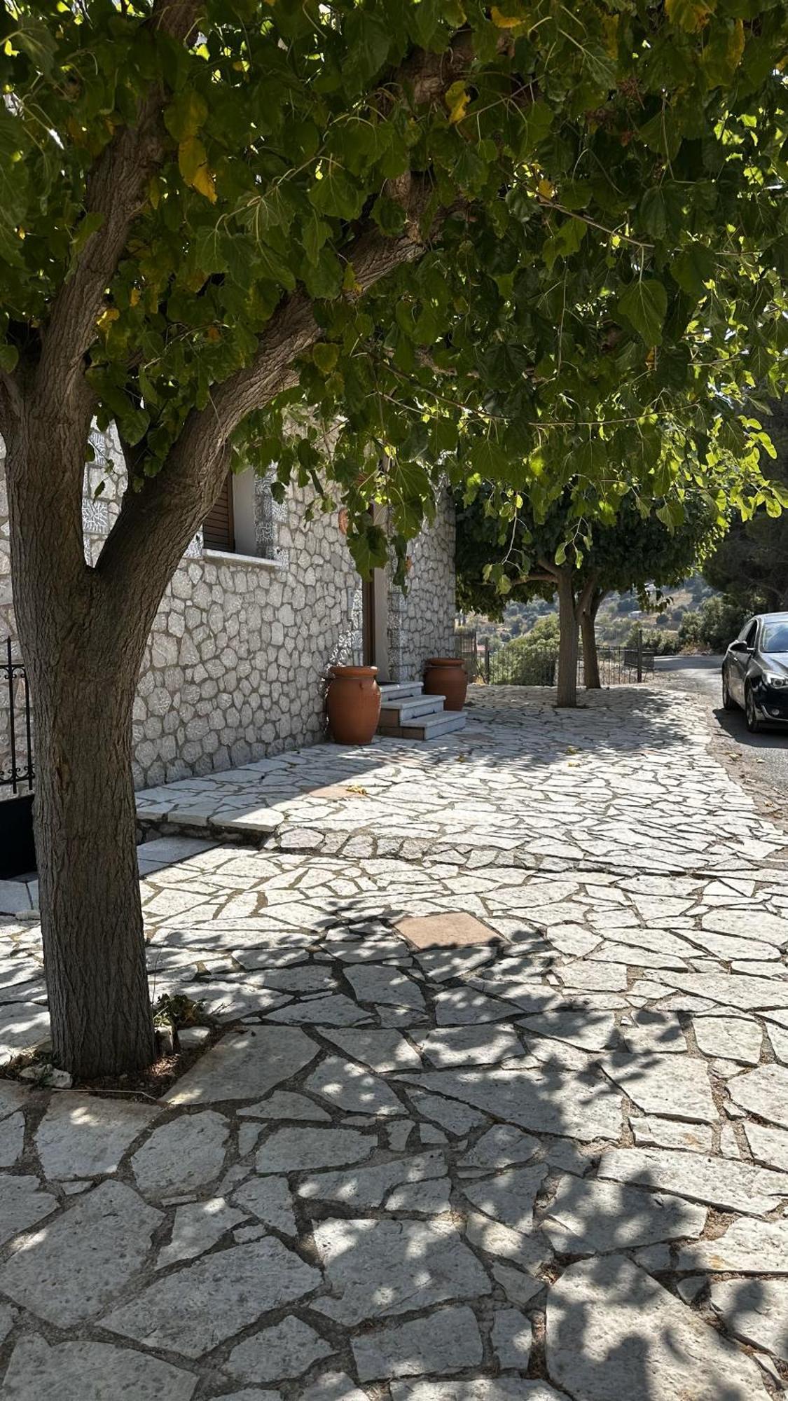 Το Πέτρινο Apartment Kyriaki Bagian luar foto